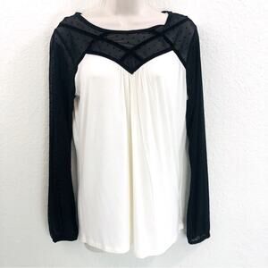 NWT August Silk Cream and Black Lace Top